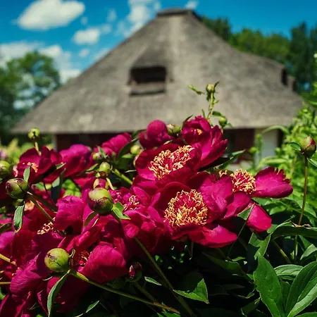 Feriehus Dworek Krola Stanislawa - Jasminowy Węgorzewo