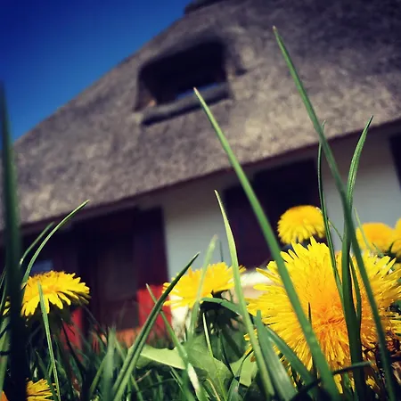 Dworek Krola Stanislawa - Jasminowy * Węgorzewo